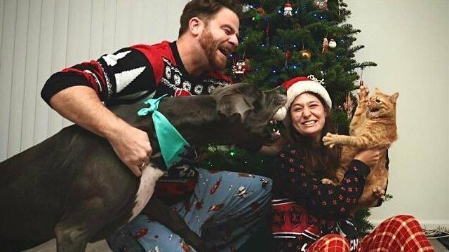 7 Potret Kocak Hewan Saat Natal, Heboh Banget