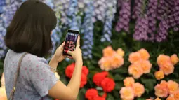 Pengunjung mengambil gambar rangkaian bunga yang dipamerkan pada RHS (Royal Horticultural Society) Chelsea Flower Show, London, Senin (21/5). Festival tahunan ini yang diadakan selama lima hari pada bulan Mei. (Daniel LEAL-OLIVAS/AFP)