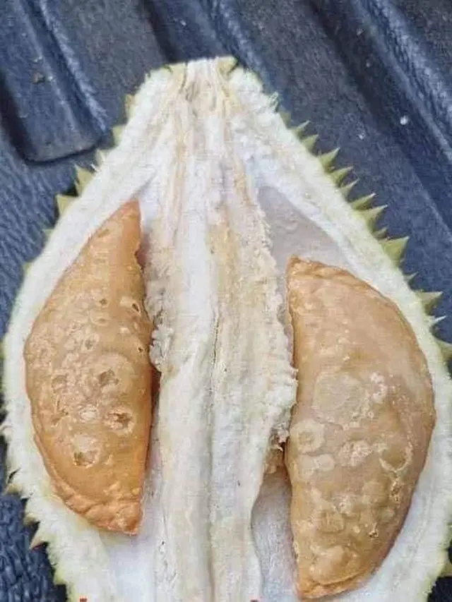 6 Potret Isi Durian Ini Nyeleneh Banget, Bikin Terheran-Heran