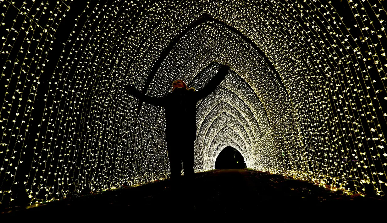 Seorang pengunjung melihat Cathedral of Light selama pratinjau untuk Natal di Kew Gardens, London, Selasa (19/11/2019). Pemasangan lampu tersebut untuk menyambut Natal dan peluncuran acara "Christmas at Kew Gardens". (Steve Parsons/PA via AP)