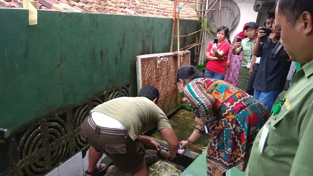 Buaya Kojek