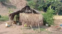 Gubuk reyot di tengah kebun yang jadi tempat karantina Maman. (Liputan6.com/ Jhon Gomes)