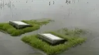  TPU Semper Terendam Banjir