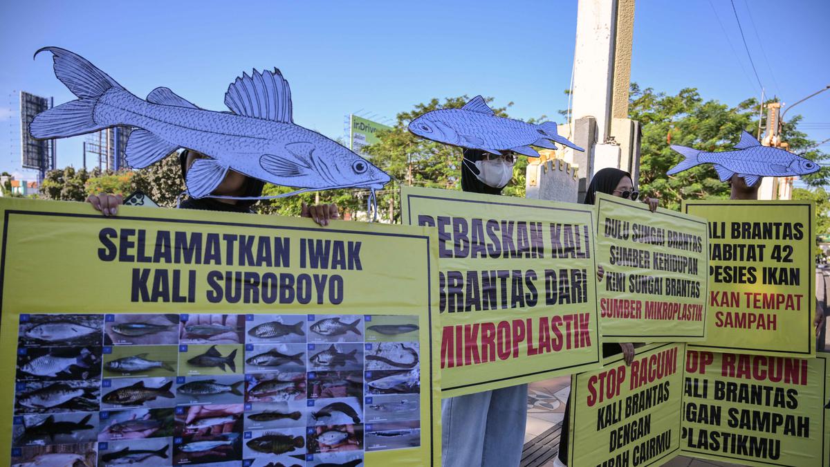 Peringati Hari Lingkungan Hidup Sedunia, Aktivis Desak Kebersihan Sungai