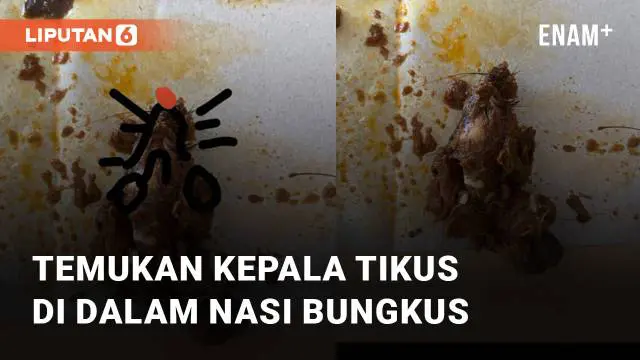 VIDEO: Temukan Kepala Tikus di Dalam Nasi Bungkus, Video Ini Ramai Diperbincangkan Netizen