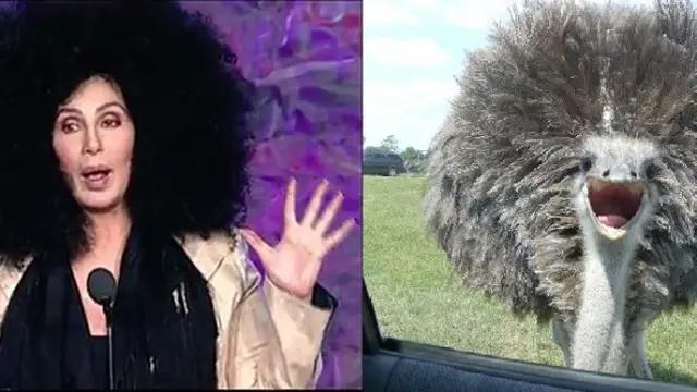 Benarkah 5 Artis Ini Berwajah Mirip Hewan?