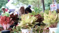 Pengunjung melihat-lihat tanaman yang dijual pada pameran Keanekaragaman Hayati Nusantara Expo di Lapangan Banteng, Jakarta, Sabtu (30/11/2019). Pameran dalam rangka memperingati Hari Cinta Puspa dan Satwa Nasional 2019 ini berlangsung hingga 8 Desember mendatang. (Liputan6.com/Helmi Fithriansyah)