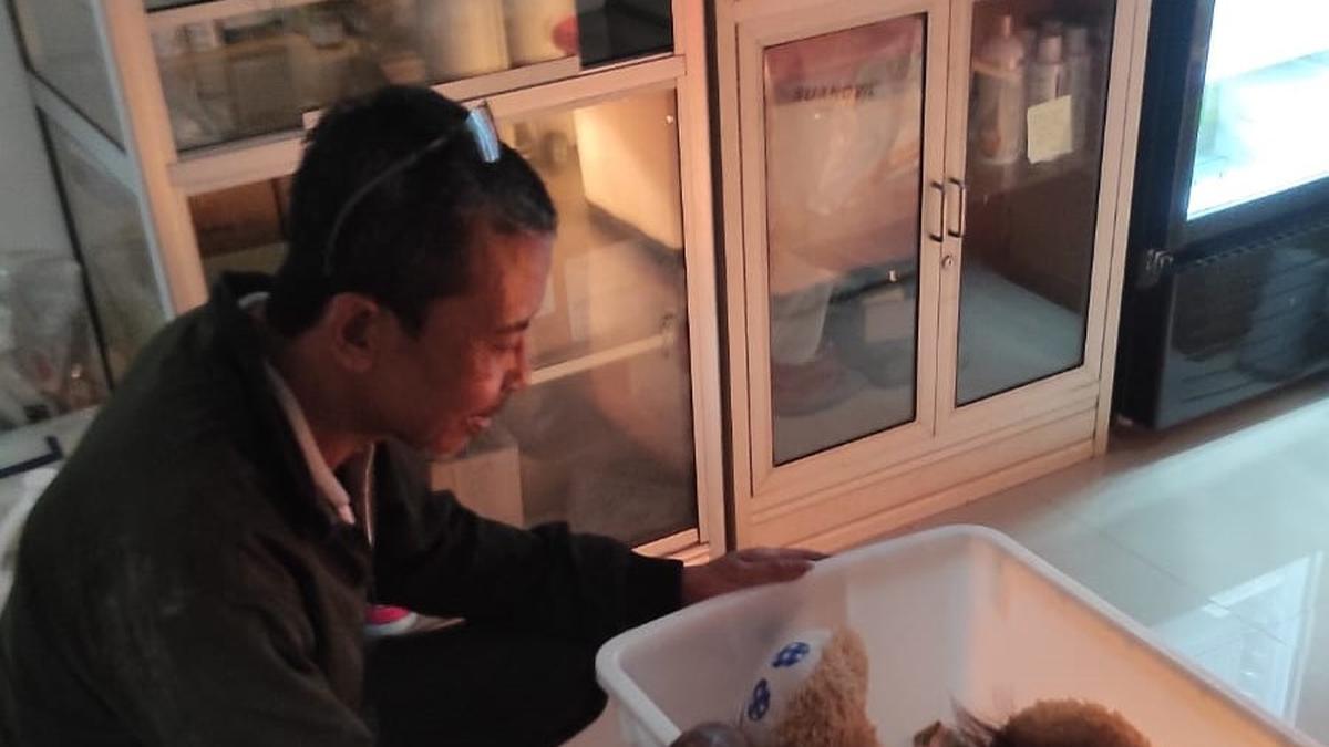 Potret Satwa Bandung Zoo di Tengah Pusaran Kisruh 2 Kubu Pengelola