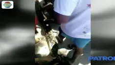 Warga langsung melumpuhkan ular yang akan memangsa hewan ternak tersebut.