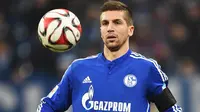 Nastasic dipermanenkan Schalke 04 (Bundesliga.com)