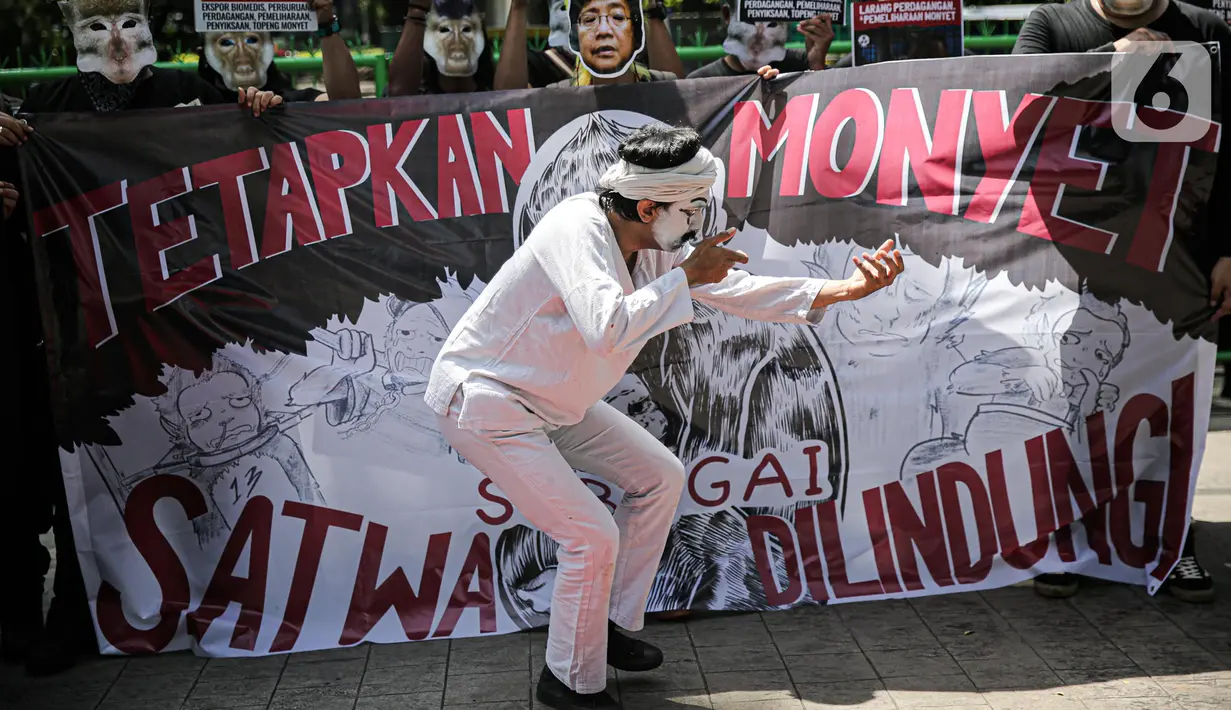 Massa yang tergabung dalam Koalisi Primates Fight Back menggelar teatrikal saat melakukan aksi di depan Kantor Kementerian Lingkungan Hidup dan Kehutanan, Jakarta, Senin (12/12/2022). Dalam aksinya mereka mendesak pemerintah untuk menetapkan monyet sebagai satwa dilindungi. (Liputan6.com/Faizal Fanani)