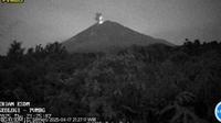 Gunung Semeru Erupsi lagi, Tinggi Letusan Capai 700 Meter (Istimewa)