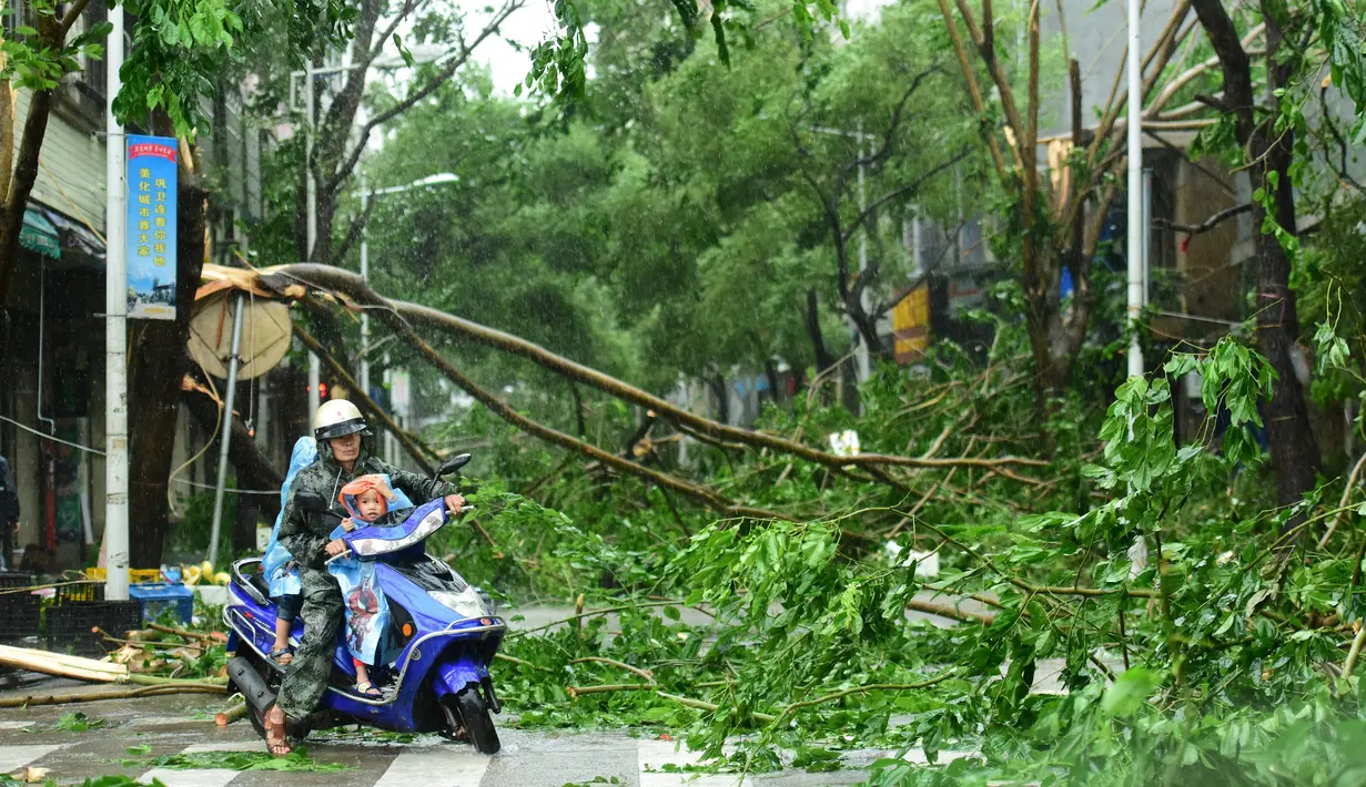 Pengendara motor bersama seorang memutar balik setelah sebuah pohon besar menutupi jalanan akibat Topan Sarika di Qionghai, Provinis Hainan, Tiongkok, (18/10). (REUTERS/Stringer)