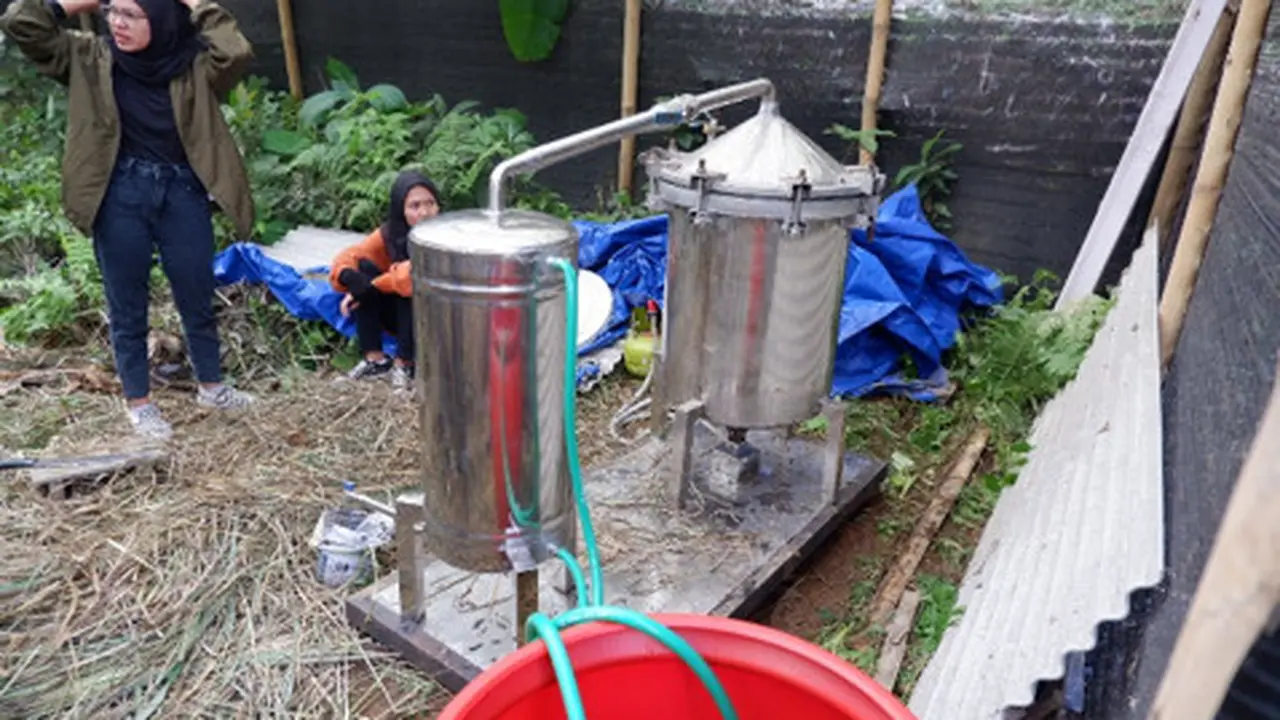 Proses penyulingan minyak atsiri dari bahan baku daun ekaliptus, sere wangi dan pucuk pinus di Kecamatan Pujon, Malang, Jawa Timur (Dok. Liputan6/Erik Erfinanto)