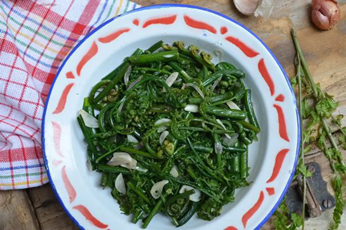 Tumis pakis./Copyright Puji Nandang Wuyung