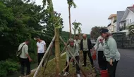 Jakarta Barat Tanam 448 Pohon pada Semester I 2026