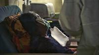 Seorang pasien virus corona COVID-19 terlihat menggunakan oksigen di unit perawatan intensif (ICU) di sebuah rumah sakit di Lhokseumawe, Aceh, Selasa (7/7/2021). Indonesia memperluas pembatasan untuk memerangi gelombang virus corona COVID-19 yang mematikan. (Azwar Ipank/AFP)