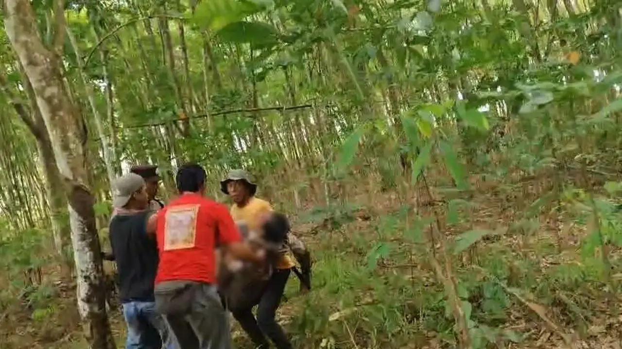 Tangkapan layar rekaman video amatir, saat warga mengevakuasi Kepala Desa Braja Asri usai diserang gajah liar di Lampung Timur.