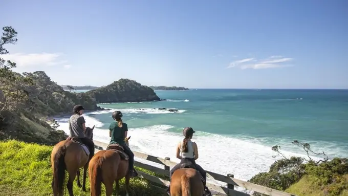 Northland – Terpilih sebagai salah satu destinasi ‘Terbaik di Dunia’ 2025 oleh National Geographic.