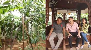 Di rumah Tukul terdapat berbagai jenis tanaman seperti kebun singkong dan pohon durian.