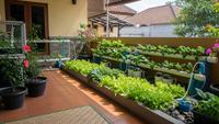 7 Ide Kebun Mini Sayuran di Teras Rumah, Ketahui Cara Membuatnya bagi Pemula