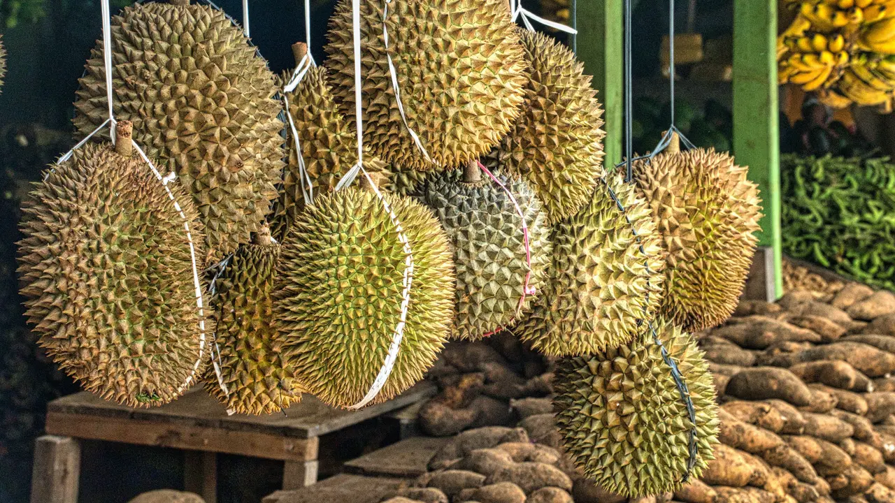 arti mimpi melihat durian banyak