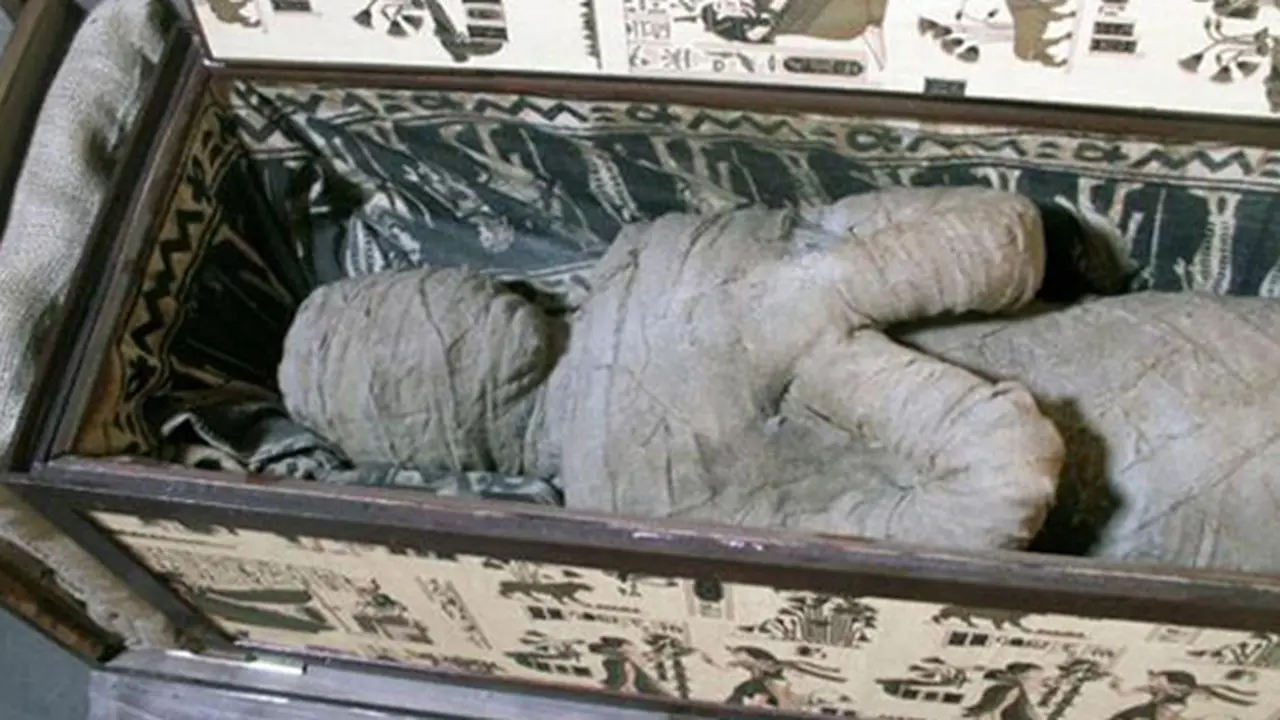 mumi-130904b.jpg
