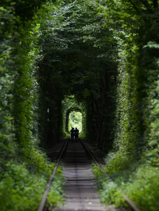 Orang-orang berada di sepanjang bekas rel kereta api atau 'Tunnel of Love' yang dikelilingi pohon dekat desa Ukraina Klevan, Rivno, (6/8). Terowongan ini menjadi tempat bagi wisatawan dan pasangan yang sedang jatuh cinta. (AFP Photo/Sergei Supinsky)