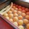 Resep Bola Ubi Kopong Tanpa Baking Powder (Photo by Nelson Chaves on Pexels)