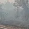 Anak Sekolah di Tengah Kepungan Asap Kebakaran Hutan Kalimantan