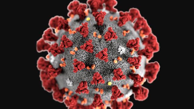 Perhatikan Ciri Ciri Orang Terinfeksi Virus  Corona Covid  