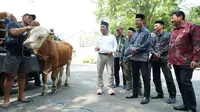 Momen Idul Adha, SIG Sebar 237 Hewan Kurban ke 20 Provinsi