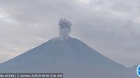 Gunung Semeru erupsi, tinggi letusan capai 1.200 meter (Istimewa)