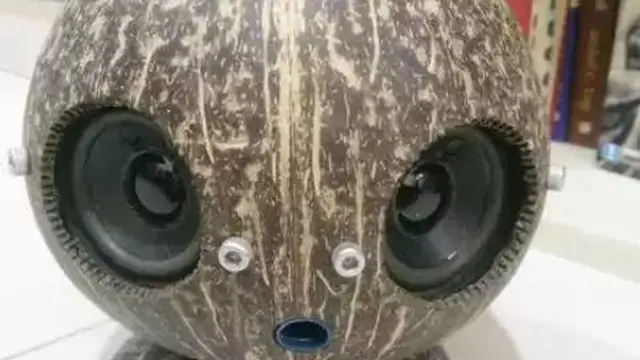 10 Potret Kreasi Speaker Biaya Pas-Pasan, Hasilnya Keren Banget