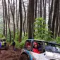 salah satu rute kawasan hutan pinus Gunung Cikuray Garut  (Liputan6.com/Jayadi Supriadin)