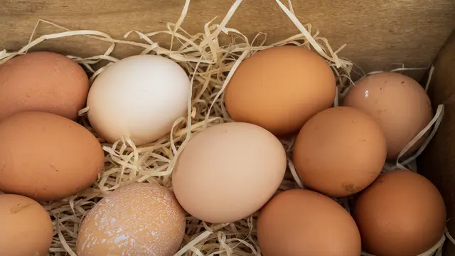 Menyimpan Telur Tanpa Kulkas agar Tetap Segar