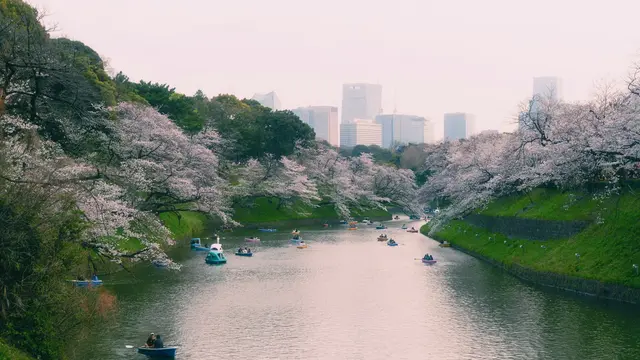 Chidorigafuchi Moat