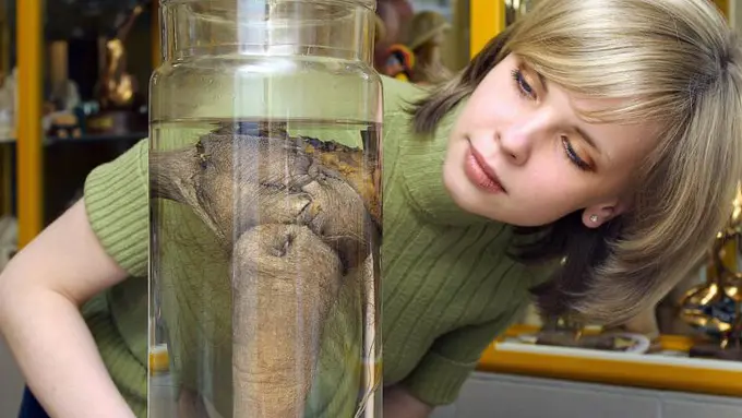 Museum Ini Punya Koleksi Lebih dari 200 Jenis Alat Kelamin