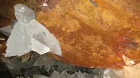 Makhluk Hidup Berusia 50.000 Tahun Ditemukan di Dalam Kristal 