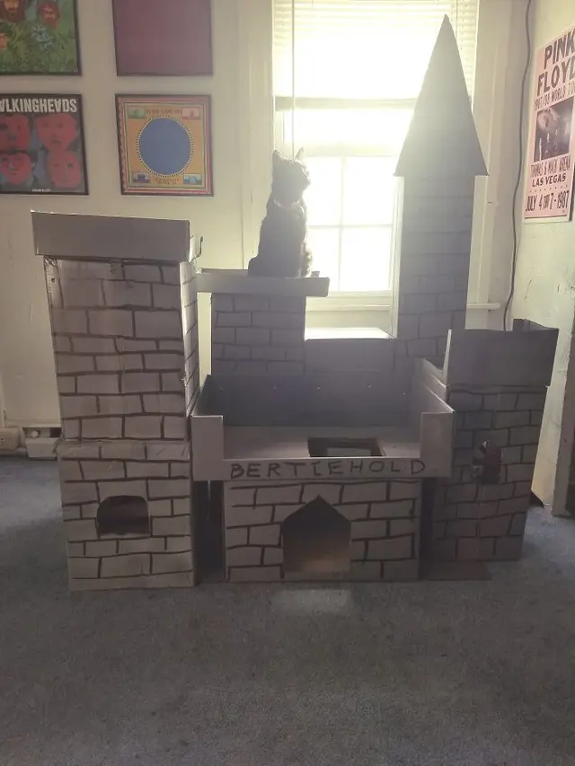 miniatur rumah kucing