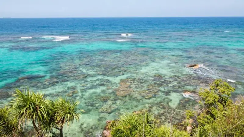Taman Laut Karimun Jawa