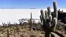 Pemandangan Salar de Uyuni, dataran garam terluas di dunia yang terletak di Altiplano, Bolivia, 28 September 2019. Salar de Uyuni terbentuk dari kerak garam ini memiliki permukaan datar dengan ketebalan sekitar satu meter yang menyelimuti seluruh permukaan danau. (Photo by Aizar RALDES / AFP)