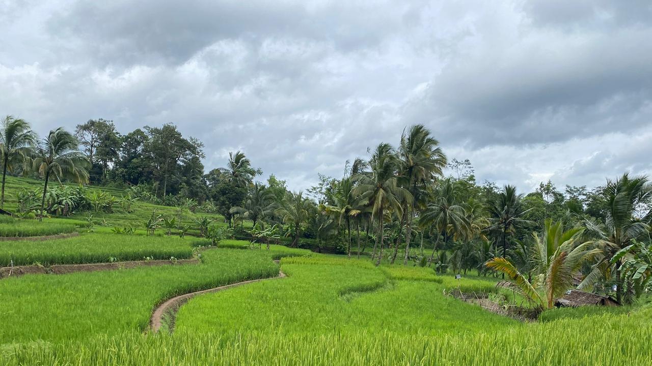 Mengenal Kawalu, Tradisi Orang Baduy Menutup Diri Dari Masyarakat Luar