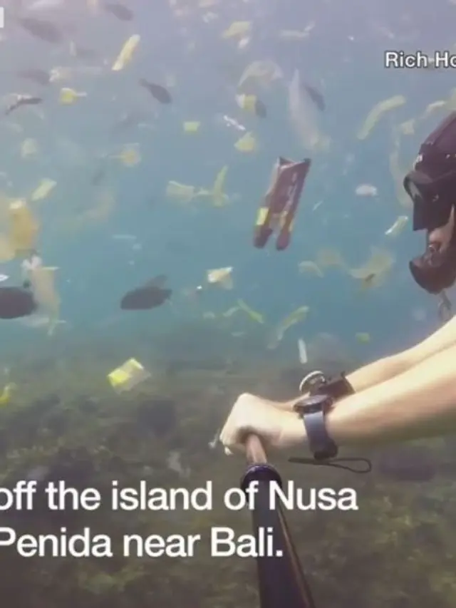 [Bintang] Ini Video Viral Penyelam Berenang di Lautan Plastik yang Ada di Bali, Sedih Banget