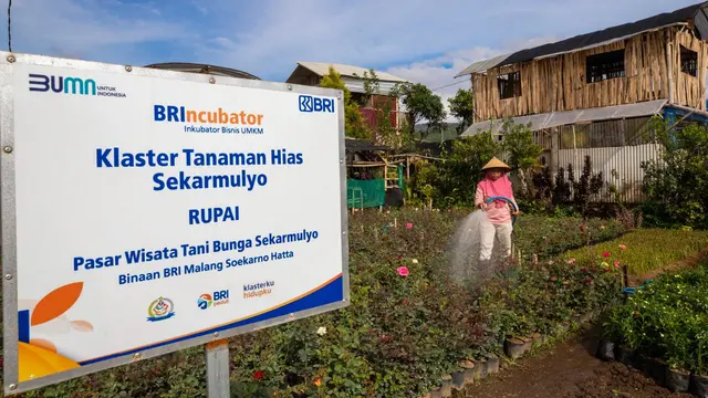 Gerakkan Ekonomi Kerakyatan yang Inklusif, Ini Sederet Pencapaian Besar BRI Sepanjang 2024
