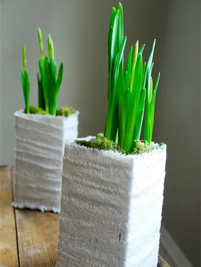 DIY: Pot Cantik dari Karton Susu Bekas - Lifestyle Liputan6.com