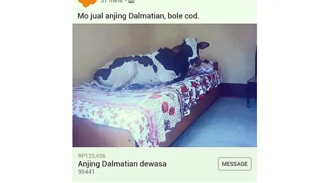 5 Barang Tak Masuk Akal yang Dijual di Online Shop, Bikin Tepuk Jidat