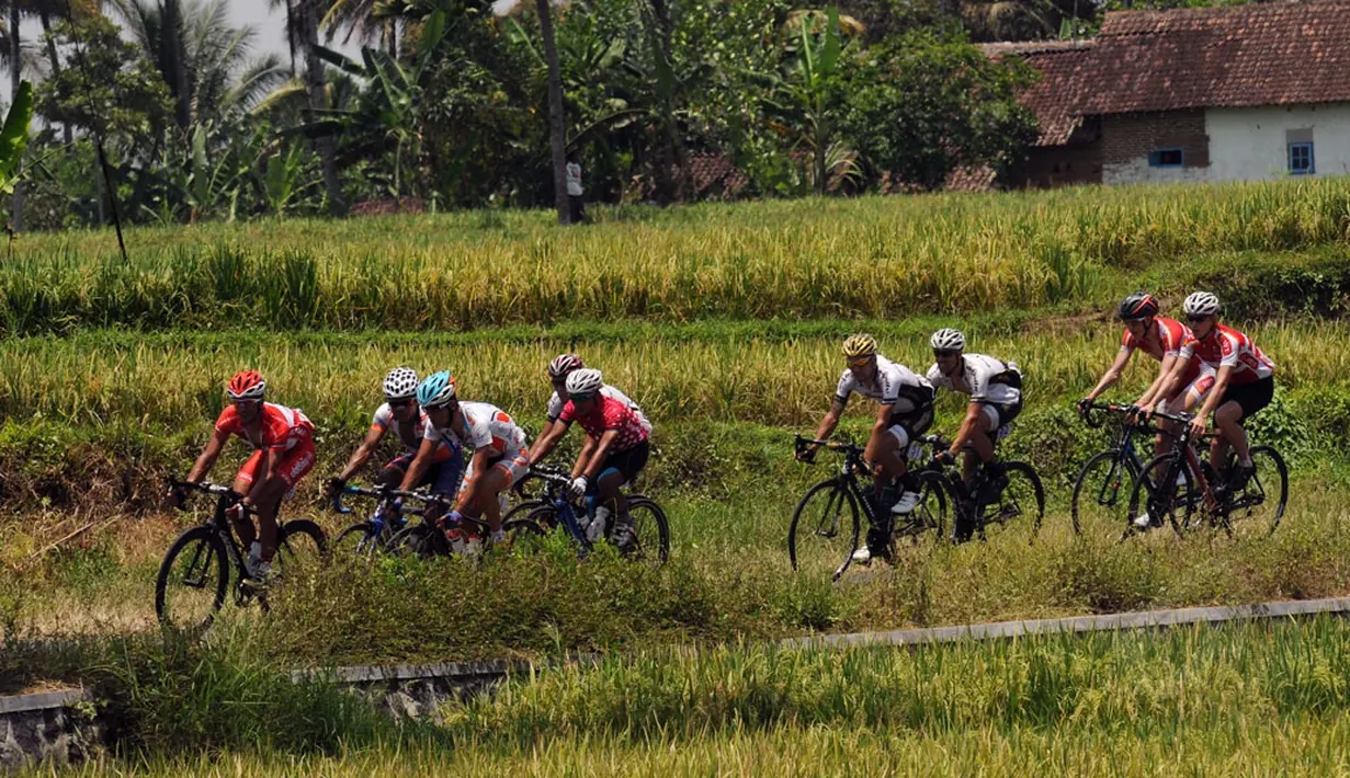Para pebalap menempuh etape 3 Internasional Tour De Banyuwangi Ijen dengan jarak 201,7 Km dari Kecamatan Muncar hingga Pos Paltuding Gunung Ijen, (18/10/2014). (Liputan6.com/Helmi Fithriansyah)