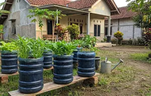Tips Menata Galon Bekas sebagai Pot Sayur agar Tumbuh Subur, Perhatikan Setiap Detailnya