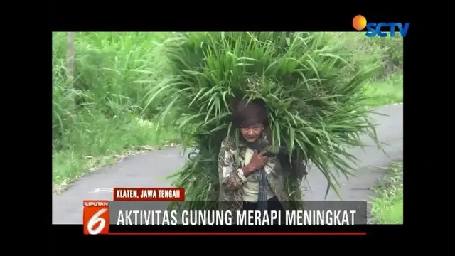 Aktivitas vulkanik Gunung Merapi terus meningkat. Luncuran lava pijar disertai hembusan awan panas terus terlihat. Meski demikian, warga terlihat tetap merumput di kawasan hutan Merapi.